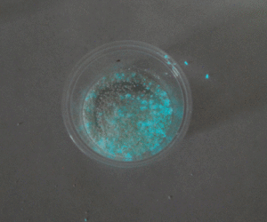 glow powder test