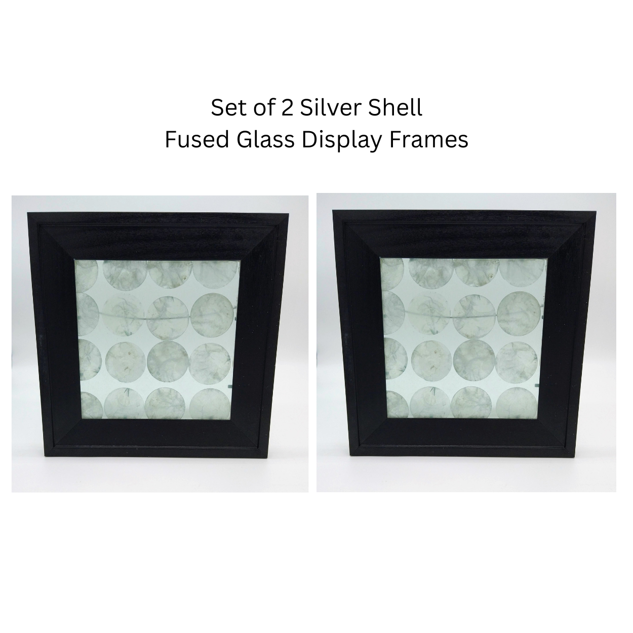 Silver Shell Fused Glass Display Frame Set - Glass With A Past